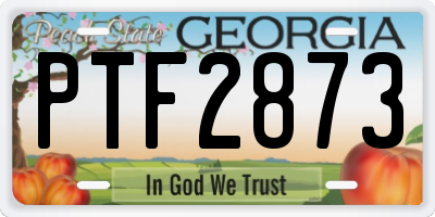 GA license plate PTF2873