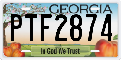 GA license plate PTF2874