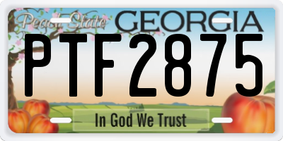 GA license plate PTF2875