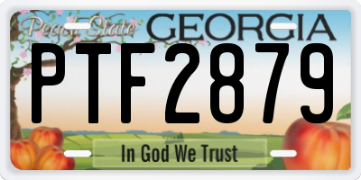 GA license plate PTF2879