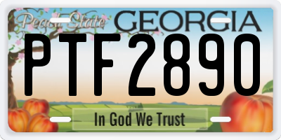 GA license plate PTF2890