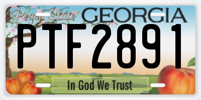 GA license plate PTF2891