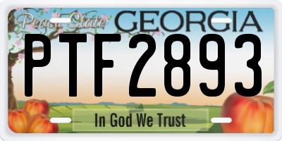 GA license plate PTF2893