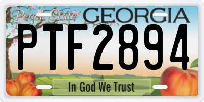 GA license plate PTF2894