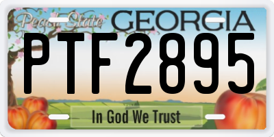 GA license plate PTF2895