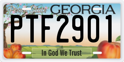 GA license plate PTF2901