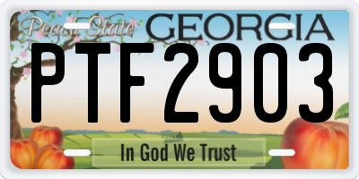 GA license plate PTF2903