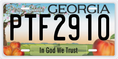GA license plate PTF2910