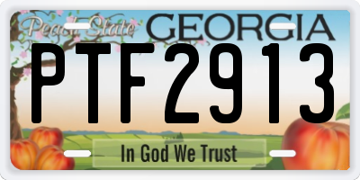 GA license plate PTF2913