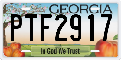 GA license plate PTF2917