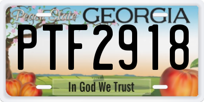 GA license plate PTF2918