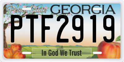 GA license plate PTF2919