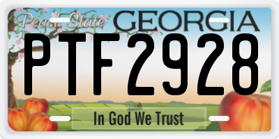 GA license plate PTF2928