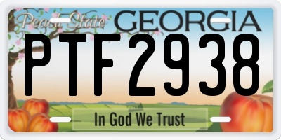 GA license plate PTF2938