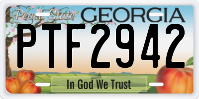 GA license plate PTF2942