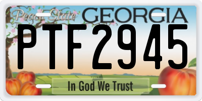 GA license plate PTF2945