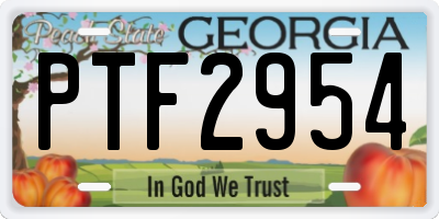 GA license plate PTF2954