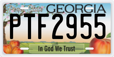 GA license plate PTF2955