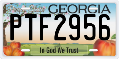 GA license plate PTF2956