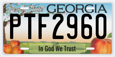 GA license plate PTF2960