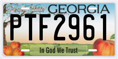 GA license plate PTF2961