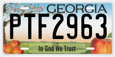 GA license plate PTF2963