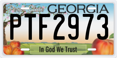 GA license plate PTF2973