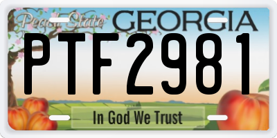 GA license plate PTF2981