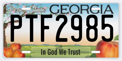GA license plate PTF2985
