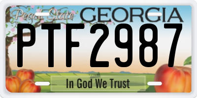 GA license plate PTF2987