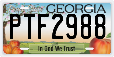GA license plate PTF2988