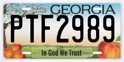 GA license plate PTF2989