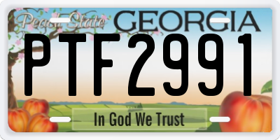 GA license plate PTF2991