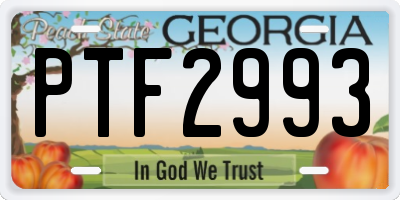 GA license plate PTF2993