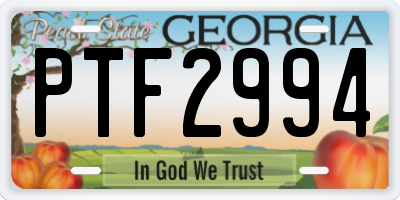GA license plate PTF2994