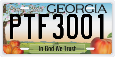 GA license plate PTF3001