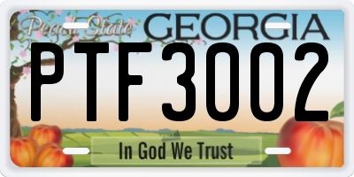 GA license plate PTF3002