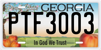 GA license plate PTF3003