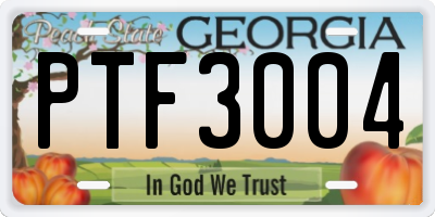 GA license plate PTF3004