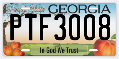GA license plate PTF3008