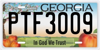 GA license plate PTF3009