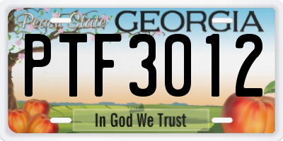 GA license plate PTF3012