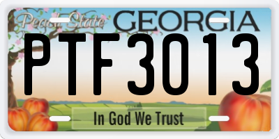 GA license plate PTF3013