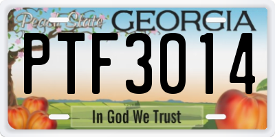 GA license plate PTF3014