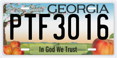 GA license plate PTF3016
