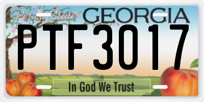 GA license plate PTF3017