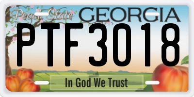GA license plate PTF3018
