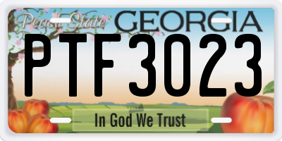 GA license plate PTF3023