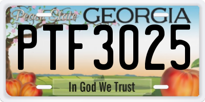 GA license plate PTF3025
