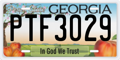 GA license plate PTF3029